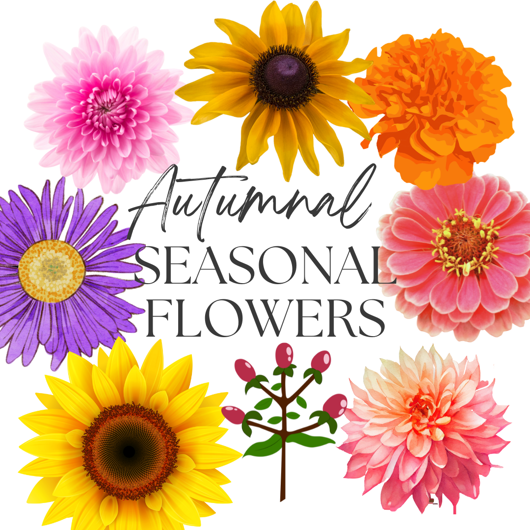 The Ultimate Autumn Seasonal Flower Guide